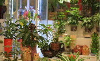 在当下的农村,投资这四个项目最有机会赚钱