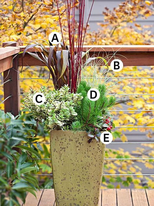 报名倒数 室内外盆栽组合与容器花园精品课程