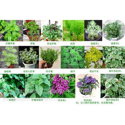 价格 厂家 中国供应商