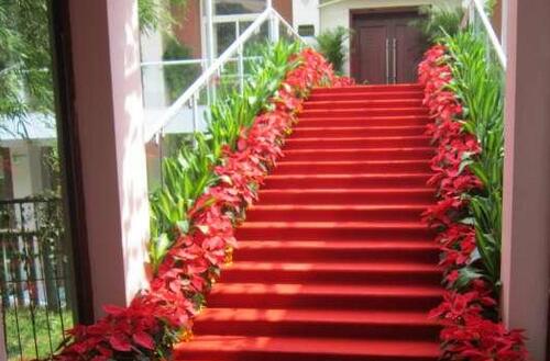 公司租花 雅淳花卉 在线咨询 武汉租花