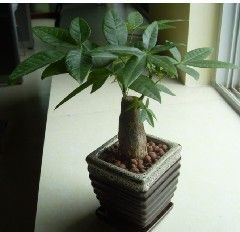 浙江今禾农产品_世界工厂网全球企业库