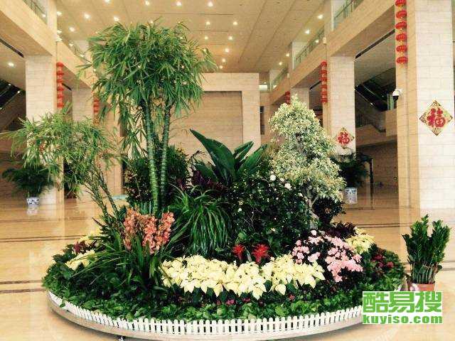 北京叉车与盆栽租赁一站式服务——酷易搜租赁平台