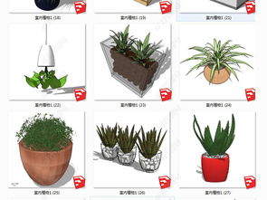 精品3D盆栽SU模型设计模型下载与盆栽租赁 绿意与科技的融合